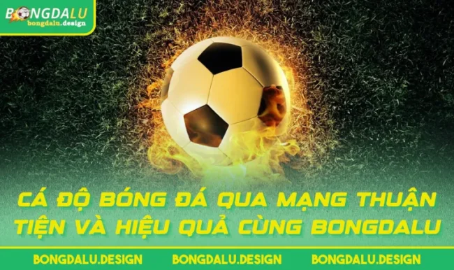Cá Độ Bóng Đá Qua Mạng Thuận Tiện Và Hiệu Quả Cùng BONGDALU