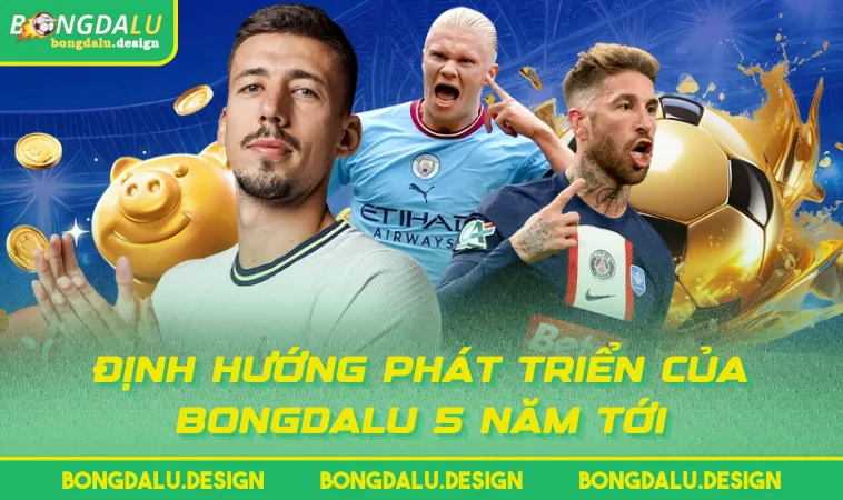 dinh huong phat trien cua bongdalu 5 nam toi Định hướng phát triển của BONGDALU 5 năm tới