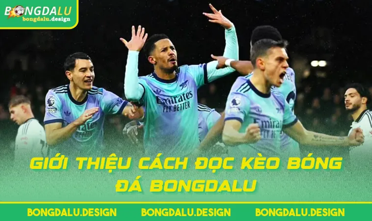 gioi thieu cach doc keo bong da bongdalu Giới thiệu cách đọc kèo bóng đá BONGDALU