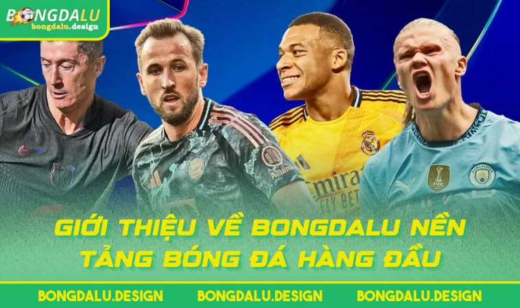 gioi thieu ve bongdalu nen tang bong da hang dau Giới thiệu về BONGDALU nền tảng bóng đá hàng đầu