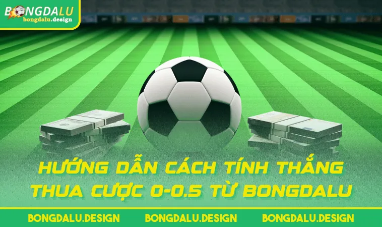 huong dan cach tinh thang thua cuoc 0 0 5 tu bongdalu Hướng dẫn cách tính thắng thua cược 0-0.5 từ BONGDALU