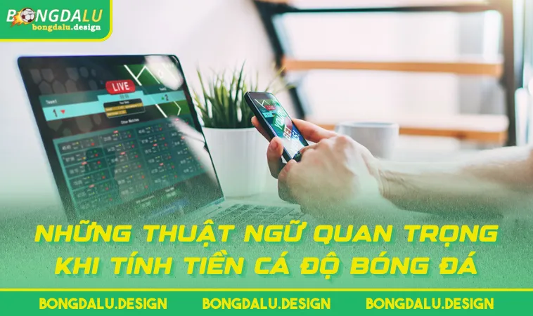 nhung thuat ngu quan trong khi tinh tien ca do bong da Những thuật ngữ quan trọng khi tính tiền cá độ bóng đá