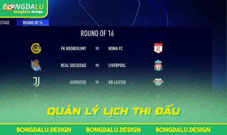 quan ly lich thi dau Quản lý lịch thi đấu