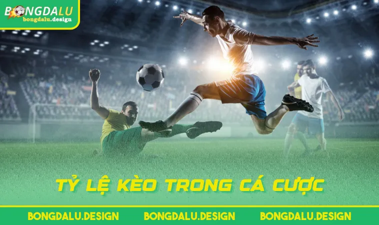 ty le keo trong ca cuoc Tỷ lệ kèo trong cá cược