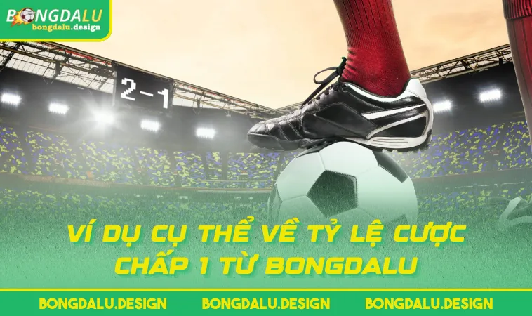 vi du cu the ve ty le cuoc chap 1 tu bongdalu Ví dụ cụ thể về tỷ lệ cược chấp 1 từ BONGDALU