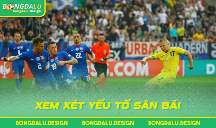 xem xet yeu to san bai Xem xét yếu tố sân bãi